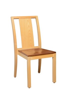 Sturdy Chairs for Chair Yoga - Eustis Chair