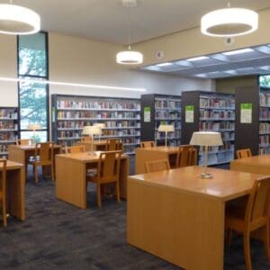 premium wood library chairs